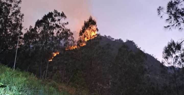 Luas Hutan yang Terbakar di Gunung Panderman Kota Batu Mencapai 3,5 Hektare