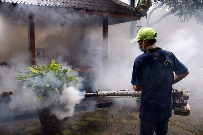 Anggaran Fogging Pengendalian DBD di Yogyakarta Turun Sejak Ada Inovasi Wolbachia