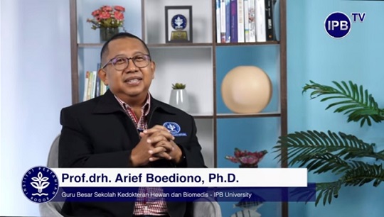 Intip Syarat Program Bayi Tabung Beserta Tahapan Prosedurnya