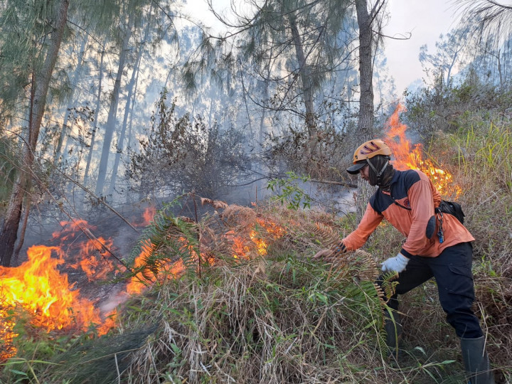 2 Blok Seluas 29 Hektare di Gunung Panderman Terbakar