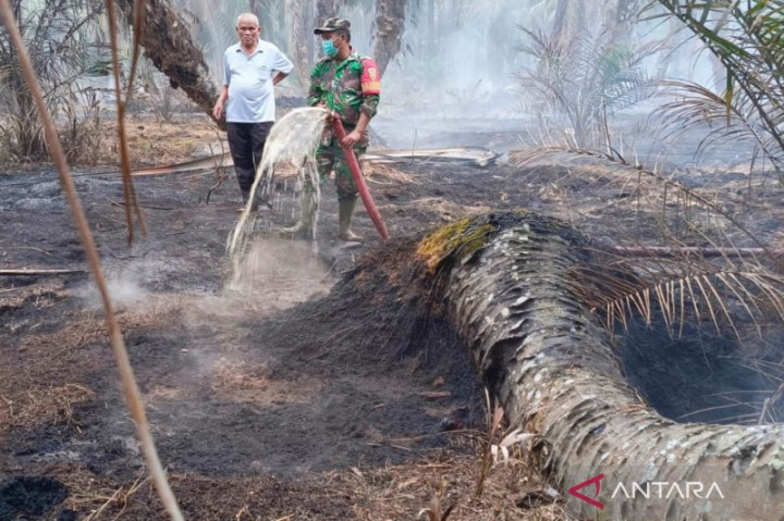 Kebupaten Mukomuko Diselimuti Kabut Asap Kebakaran Lahan Gambut
