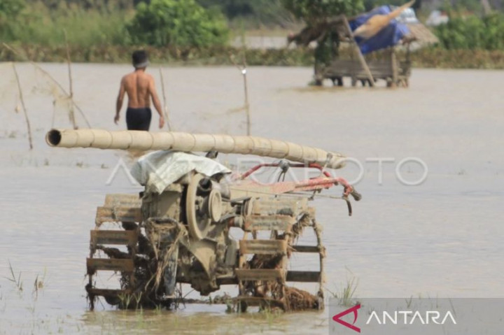 2.854 Hektare Sawah di Aceh Barat Terendam Banjir