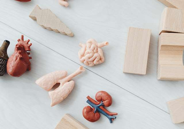 Risiko Pneumonia Bisa Dialami Semuanya, Dokter Sarankan Vaksin