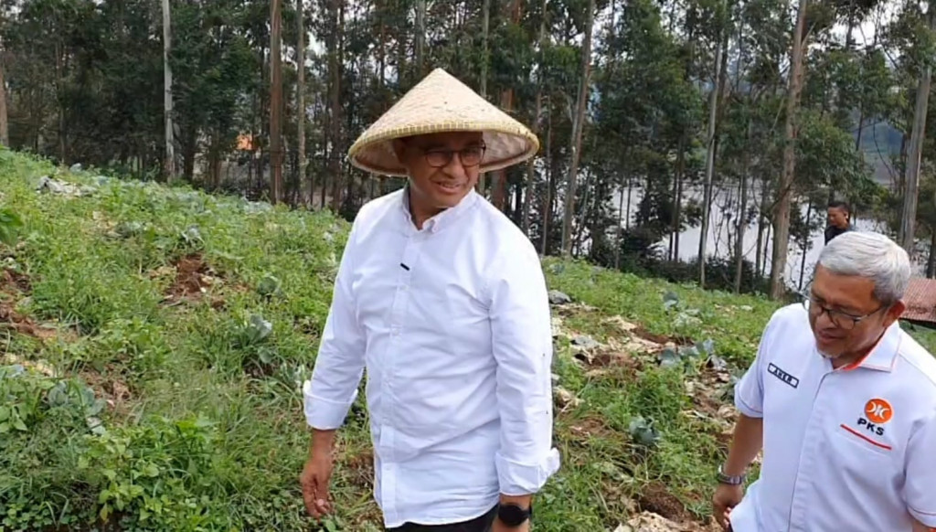 Anies Lebih Pilih <i>Contract Farming</i> Ketimbang <i>Food Estate</i>, Ini Keunggulannya