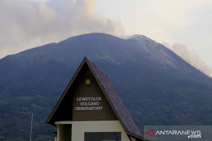 Gunung Ile Lewotolok Erupsi Setinggi 500 Meter