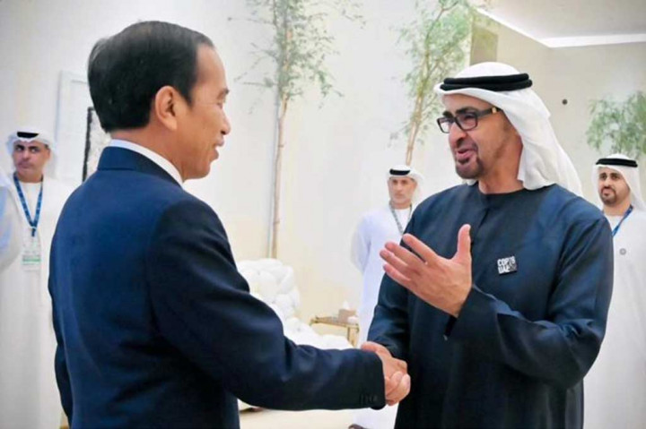 Jokowi Bertemu dengan Presiden MBZ, Ini yang Dibahas