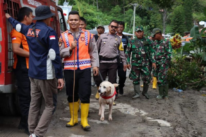 Anjing Pelacak Bantu Cari 12 Warga Humbahas Hilang Terseret Banjir Bandang