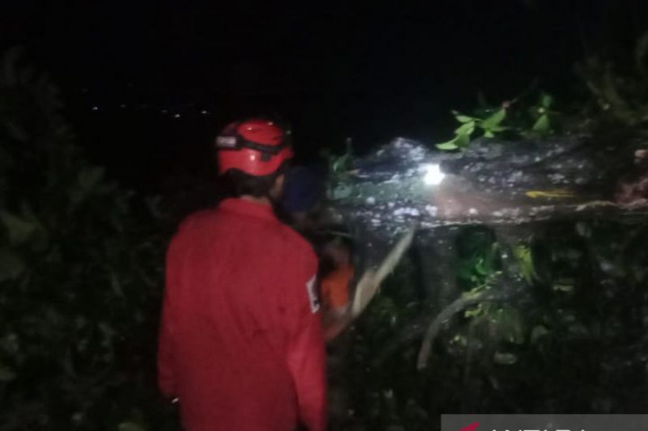 Hujan Deras dan Angin Kencang Memicu Longsor di Sukabumi