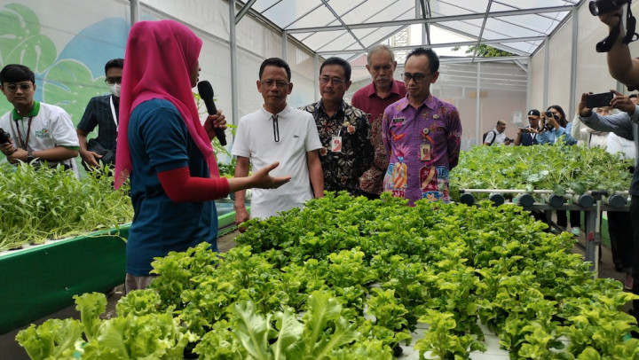 Lokasi Pembuangan Lahan Sampah Diubah jadi <i>Urban Farming</i>