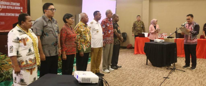 Papua Selatan Pakai 3 Jurus Turunkan Prevalensi Stunting