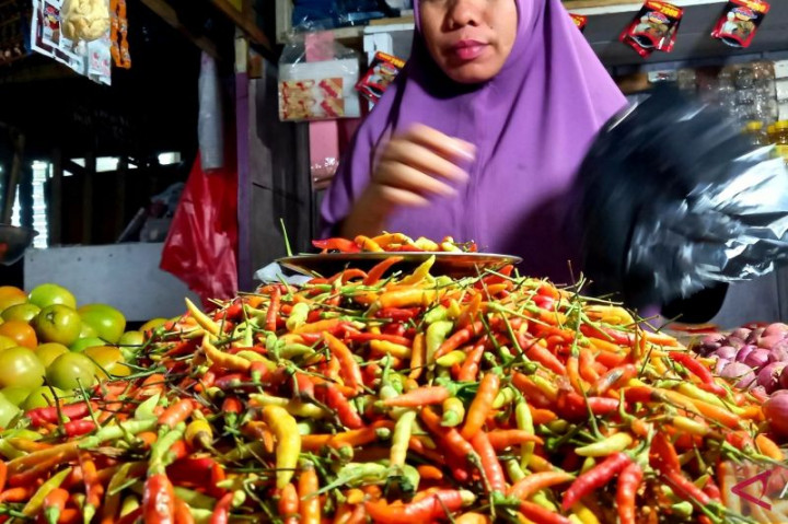 Harga Cabai Rawit di Gorontalo Masih Mahal, Rp150 Ribu per Kg