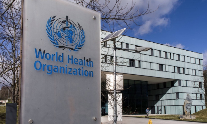 WHO Keluarkan Resolusi Akses Bantuan Kemanusiaan dan Gencatan Senjata di Gaza