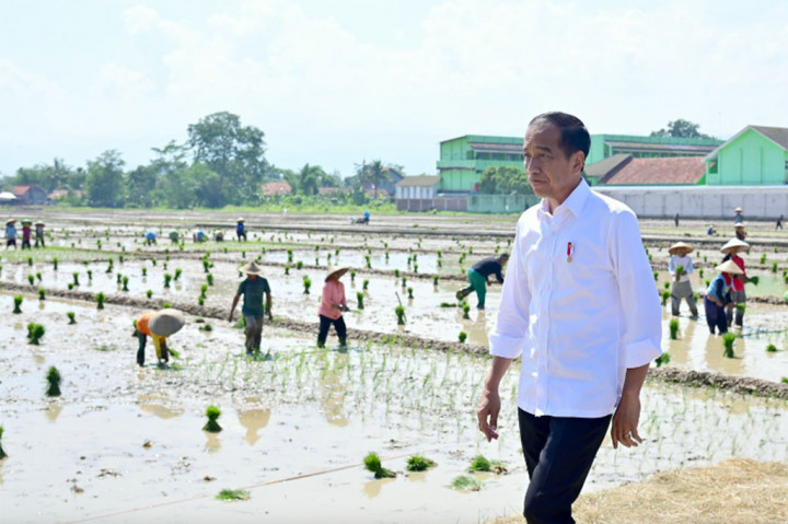 Janji Jokowi ke Petani: Tambah Pupuk Subsidi