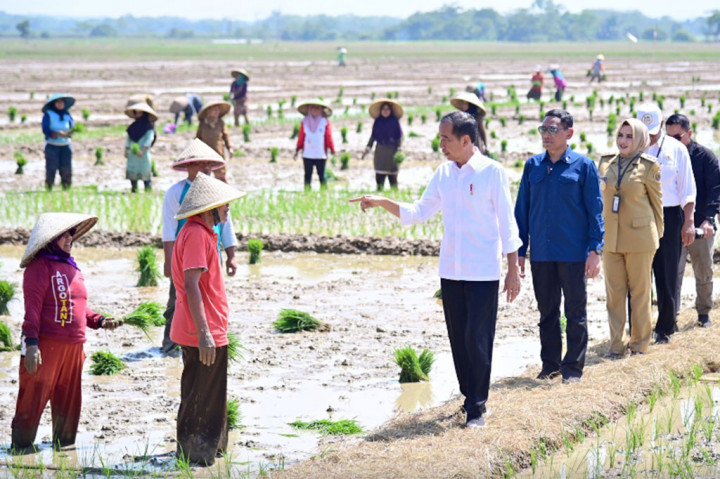 Jokowi Janji Tambah Subsidi Pupuk Buat Petani