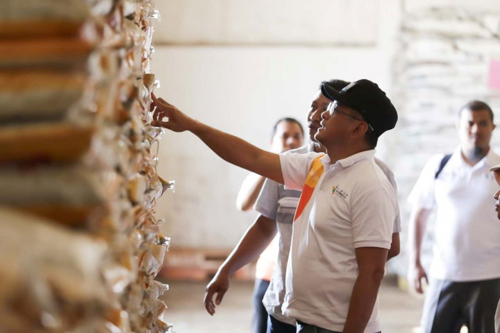 Ikut Arahan Jokowi, Alokasi Tambahan Pupuk Subsidi Siap Dipenuhi