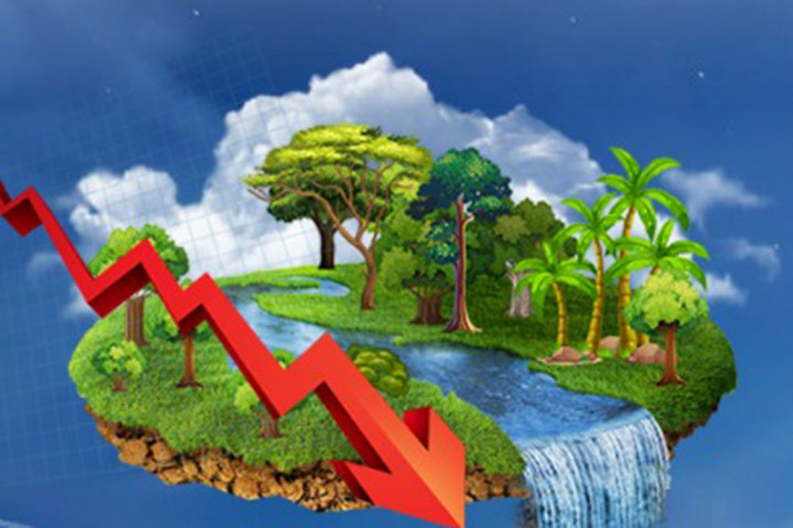 PBB Tinjau IKN, Seberapa Ramah Lingkungan IKN?