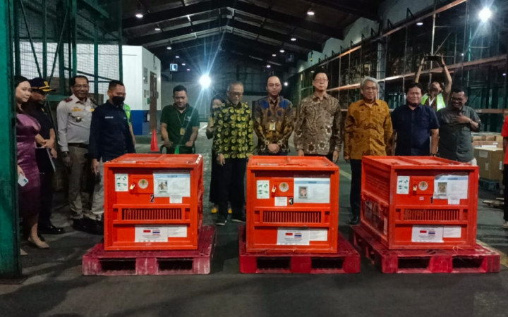 Thailand Pulangkan 3 Orang Utan Sumatra Selundupan ke Indonesia