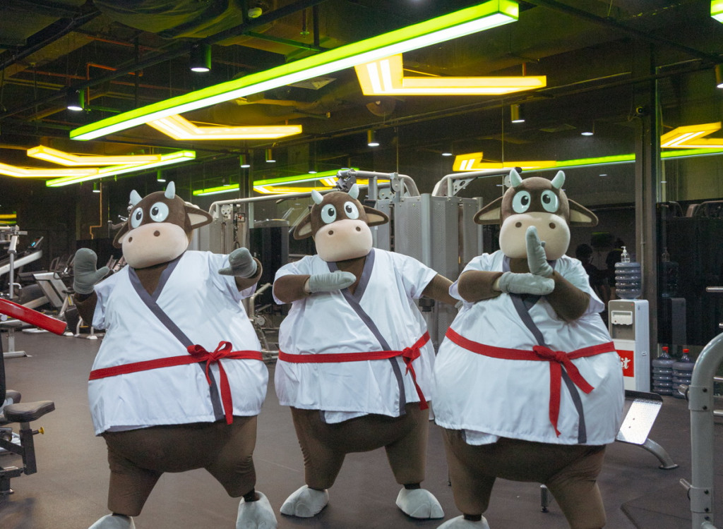 MooGyu si sapi (Foto: instagram)