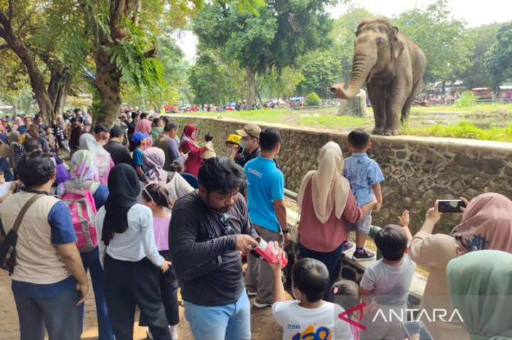 19 Ribuan Pengunjung Padati Ragunan, Kandang Gajah dan Jerapah Jadi Favorit