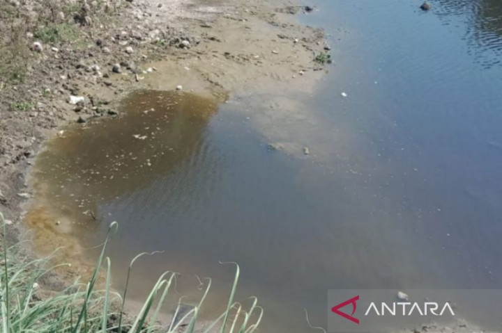 Pemkot Surakarta Minta Daerah Lain Ikut Bertanggung Jawab Pencemaran di Bengawan Solo