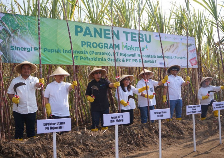 Dorong Produksi Pangan, Program Makmur Berdayakan Lebih dari 322 Ribu Petani