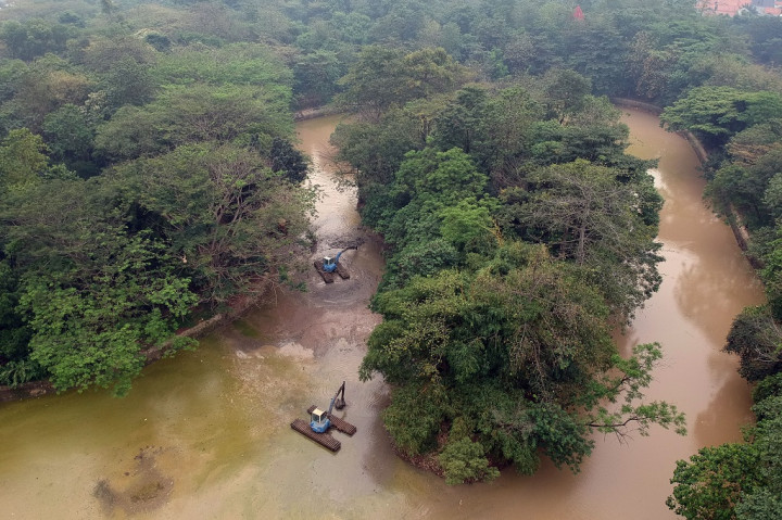 Melestarikan Hutan demi Pertanian Berkelanjutan