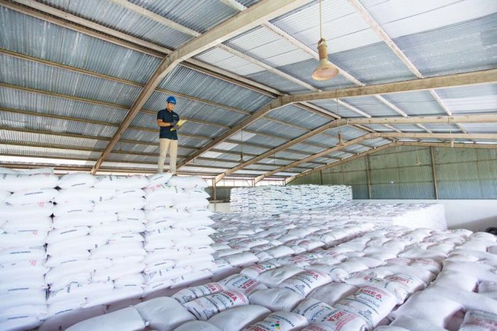 Pupuk Kaltim Siapkan Transisi Menuju Energi Bersih dan Terbarukan