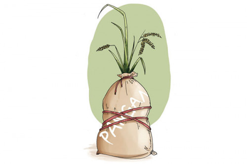 Menanti Bukti Kemandirian Pangan