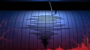 WNI di Wilayah Terdampak Gempa Jepang Diimbau Waspada