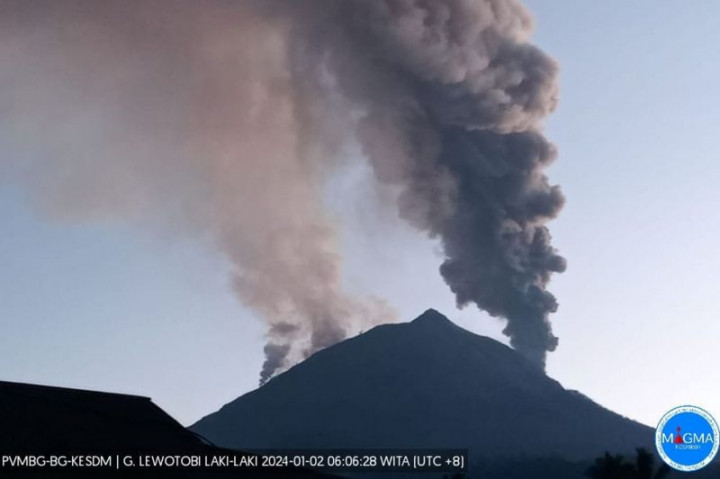 1.172 Warga 4 Desa di Flores Timur Terdampak Erupsi Gunung Lewotobi