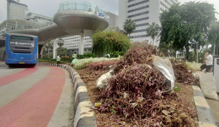 Jalur Hijau di Jakarta Rusak Terinjak di Malam Tahun Baru, Dinas Pertamanan Kebut Perbaikan