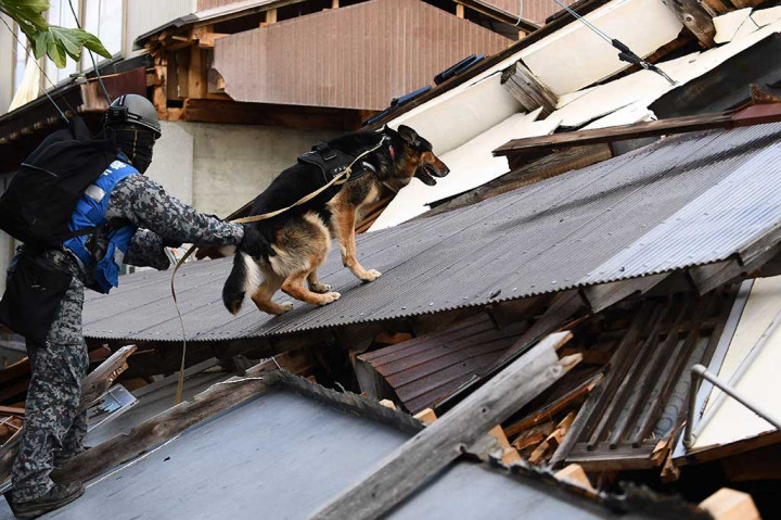Gempa Jepang, 240 Orang Masih Dinyatakan Hilang
