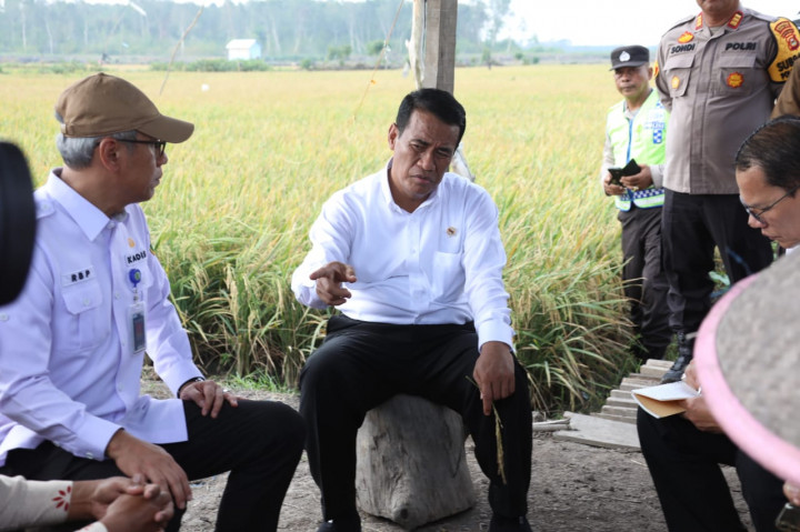 Tambah Anggaran Pupuk Subsidi Rp14 Triliun, Mentan: El Nino Tidak Main-main