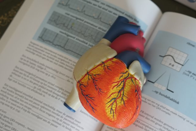 Kenali penyebab Atrial Fibrilasi Jantung. (Foto: Ilustrasi/Dok. Unsplash.com)