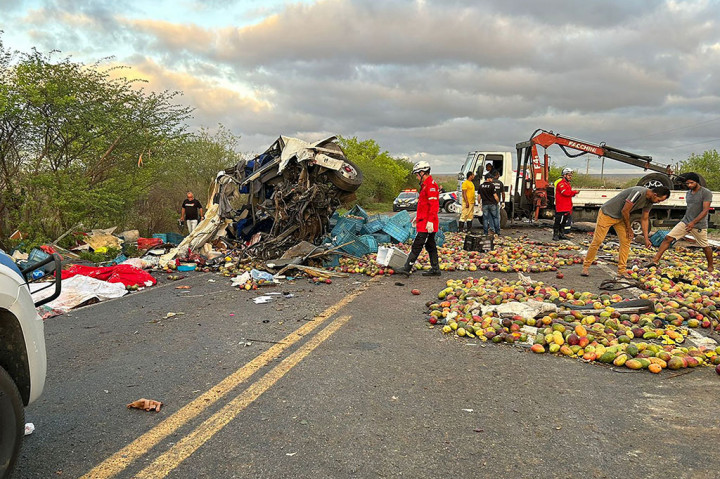Tragis! 25 Tewas akibat Tabrakan Bus dan Truk di Brasil