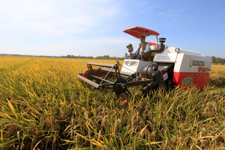 Pemerintah Rogoh Rp28,7 Triliun Buat Isi Stok Cadangan Pangan