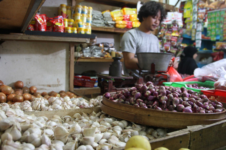 Jaga Stabilitas Harga Bawang, Indonesia Harus Punya Gudang Penyimpanan Besar