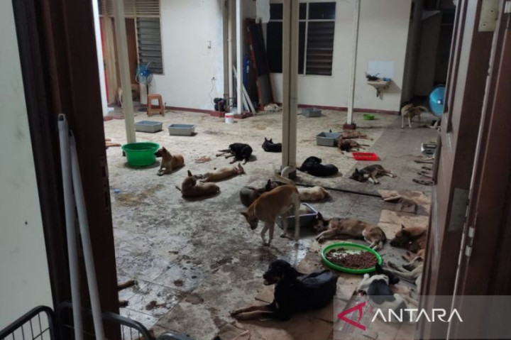 Tegas! Pemkab Sragen Larang Konsumsi Daging Anjing