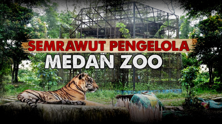 Satwa Medan Zoo yang Tercampakkan