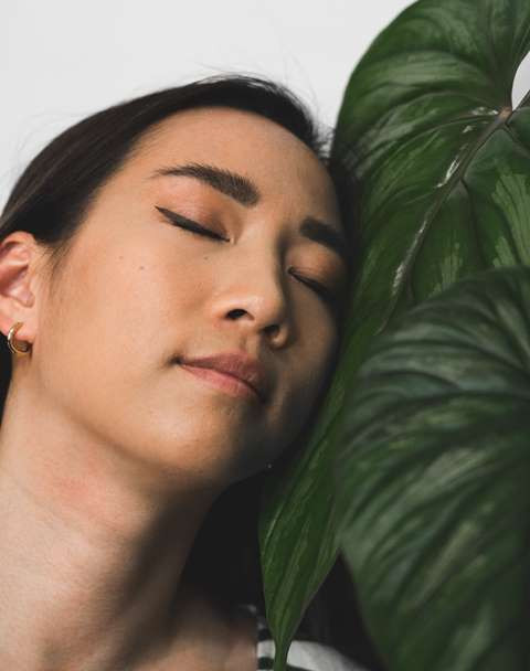 Tak Hanya Cantik, Inilah 5 Khasiat Tanaman Hias bagi Kesehatan