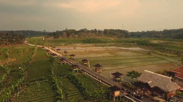 Apresiasi Program Desa BRILiaN, Wamen BUMN Yakin Pemberdayaan Desa Jadi <i>Engine of Growth</i> Perekonomian Indonesia