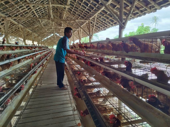 Awalnya Terimpit Pandemi Kini Klaster Usaha Ini Berkembang Berkat Program BRI KlasterkuHidupku