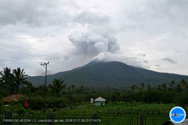 Warga Diminta Tak Beraktivitas pada Radius 5 Km dari Pusat Erupsi Gunung Lewotobi