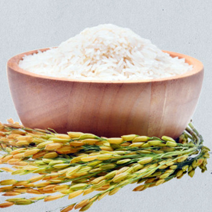 Jika Harga Beras Masih Mahal, Impor Beras untuk Siapa?