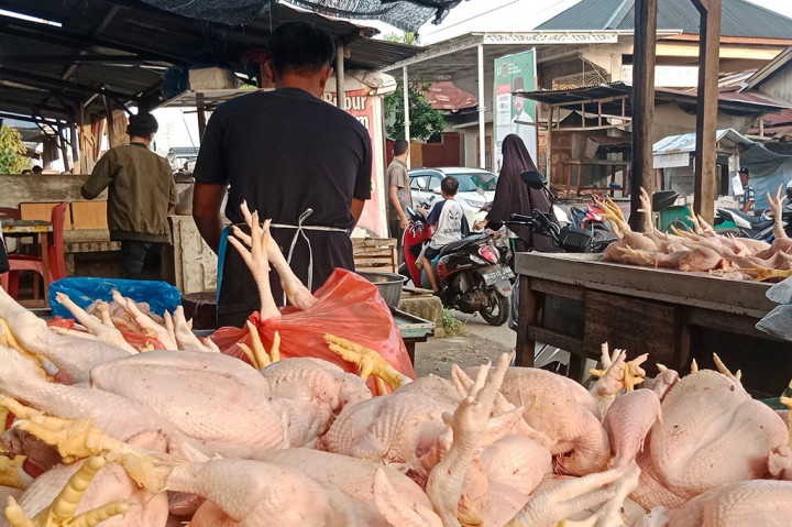 Harga Ayam Potong di Aceh Naik
