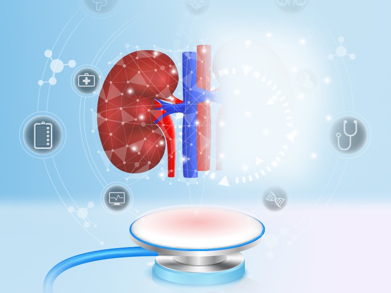 Bagaimana Jika Kamu Hanya Punya 1 Ginjal?