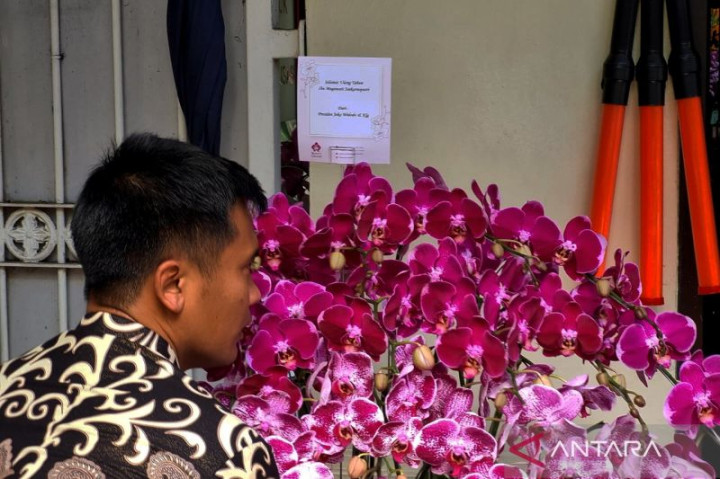Megawati Ulang Tahun, Jokowi Hanya Kirim Karangan Bunga