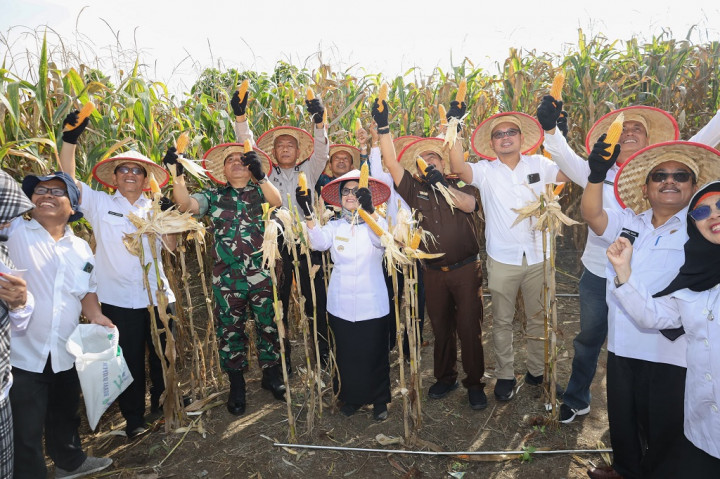 Pematangsiantar Targetkan 1.215 Ha Lahan Baru Tanam Jagung
