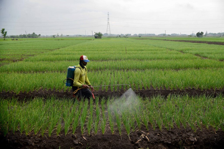 Distribusi dan Regulasi Subsidi Jadi Kunci Ketersediaan Pupuk Petani