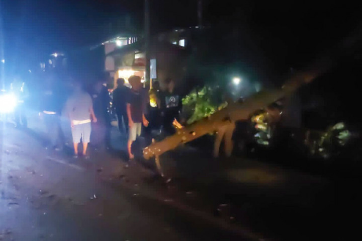 Pohon Tumbang di Lembang Timpa Penumpang Sepeda Motor